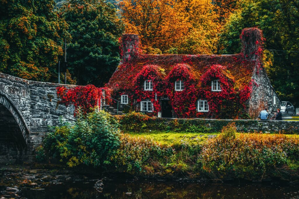 A house by a river covered in red leaves and surrounded by autumn trees.